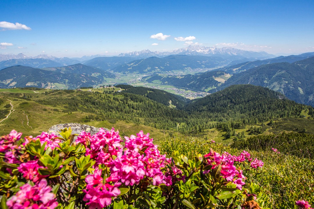 Taxi-Huber_Sommer_Flachau_Hauptsilder